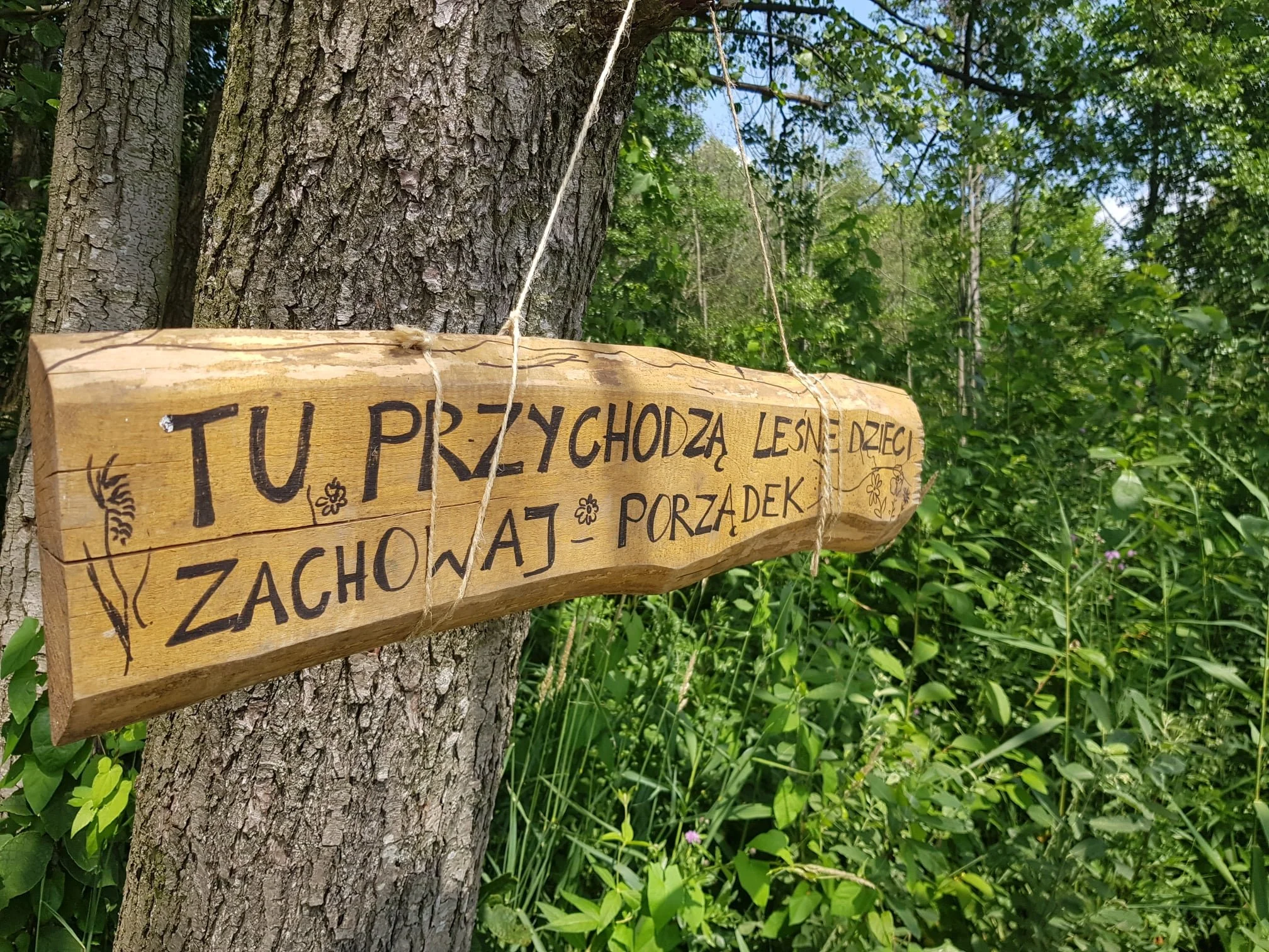 Leśna przestrzeń przedszkola z drewnianym drogowskazem